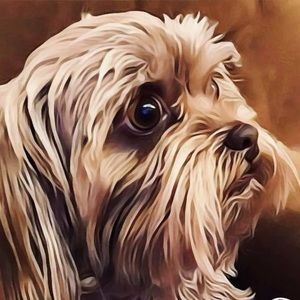 Meet your Posher, Paula